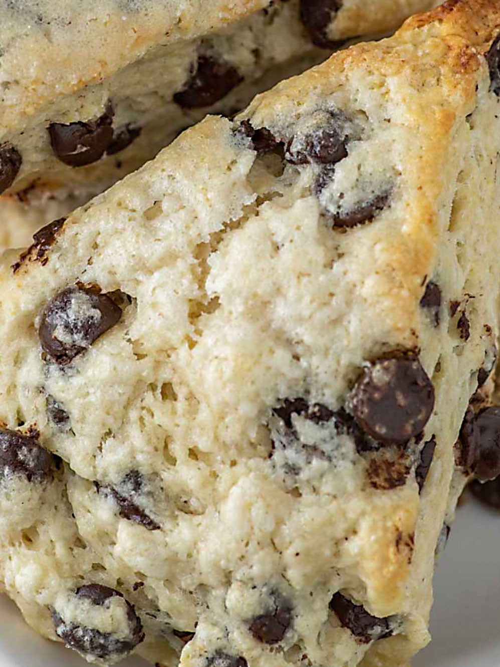Chocolate Ch!p Happens Scone