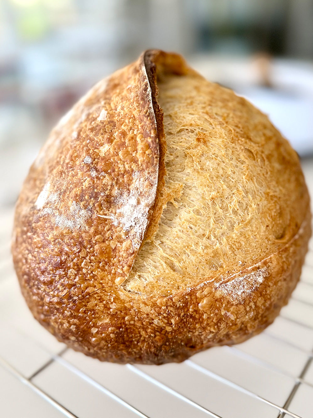 Country Sourdough Loaf