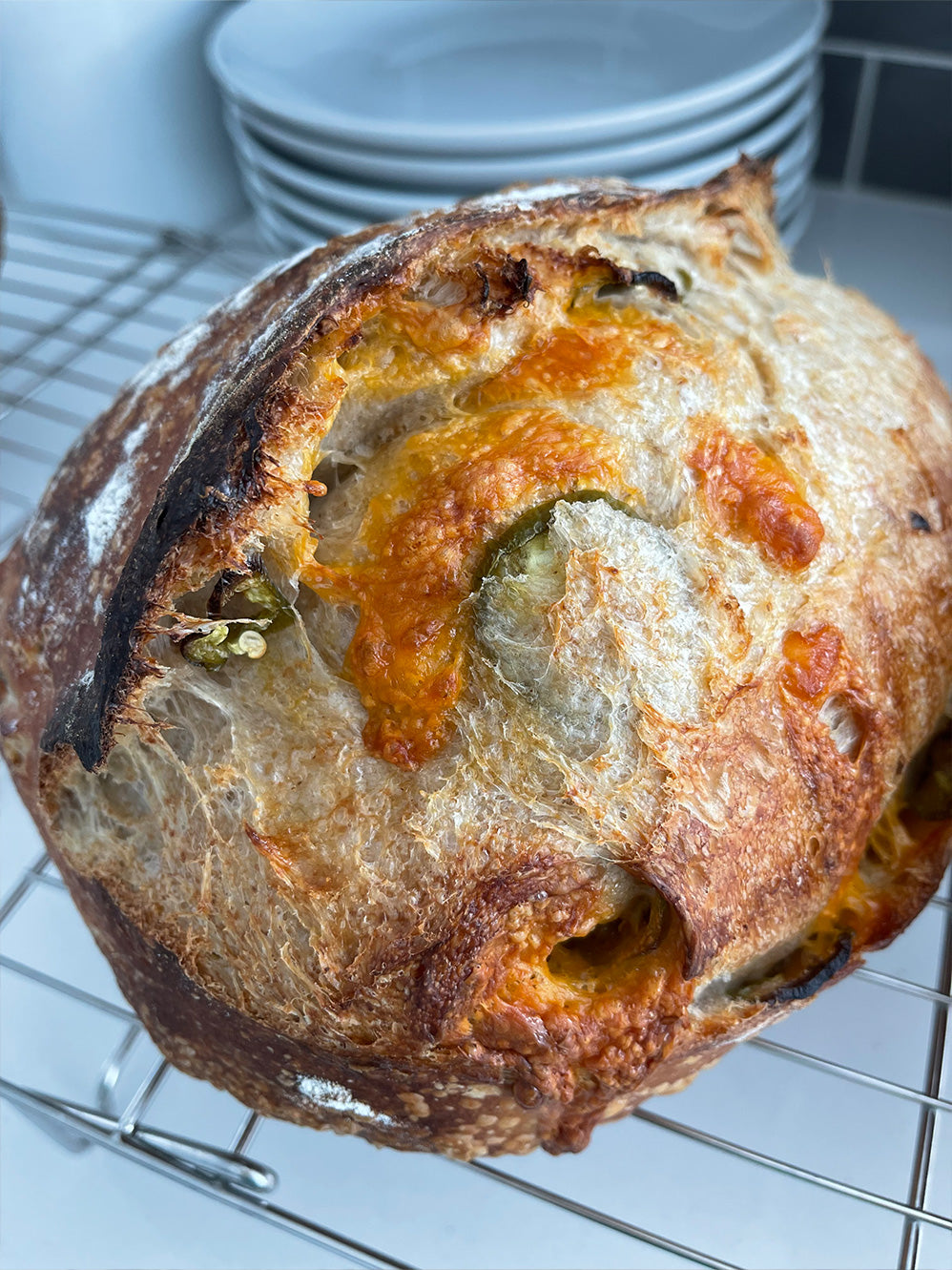 Jalapeño Cheddar Sourdough