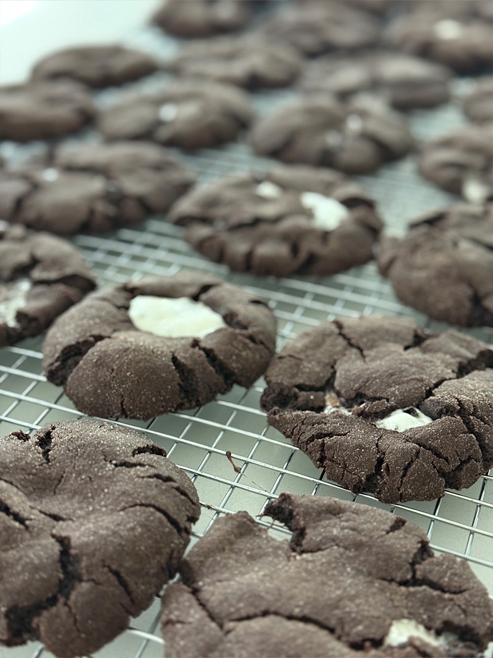 Mexican Hot Chocolate Cookie