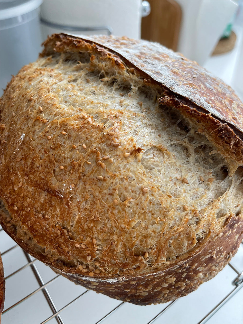 Sesame Sourdough Loaf